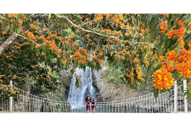 Tour Cổng Trời Đông Giang khởi hành từ Đà Nẵng 2N1Đ